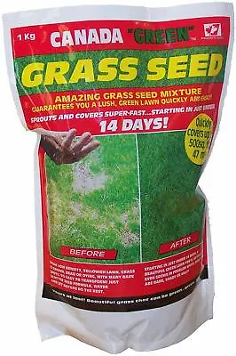 £21.50 • Buy 1kg Of Genuine Original Canada Green Grass Seed Fast Growing 500sq Ft Free P&p