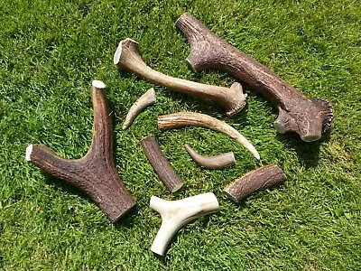 £6.99 • Buy Deer Antler Dog Chews Long Lasting 100% Natural Dog Treats Toys Dental Feeding