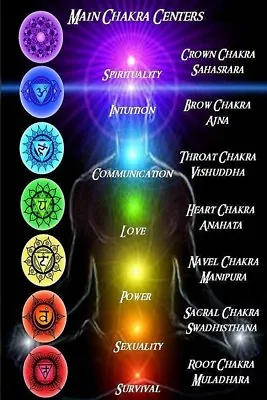 Seven Chakras Of Yoga Poster 24x36 Inch Rolled Wall Poster • £14.47