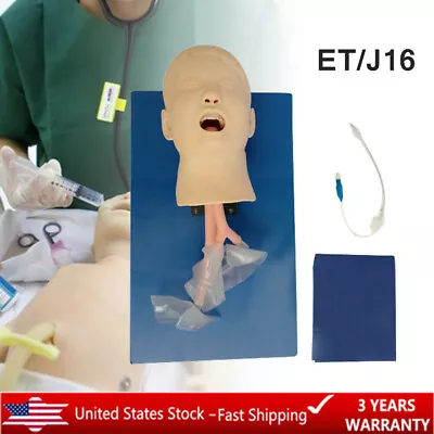 $185.25 • Buy Intubation Manikin Study Teaching Child Model Airway Management Trainer For Lab