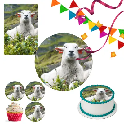 Sheet Animal Cake Topper Party Decoration Edible Birthday Gift Celebration Farm • £5.49
