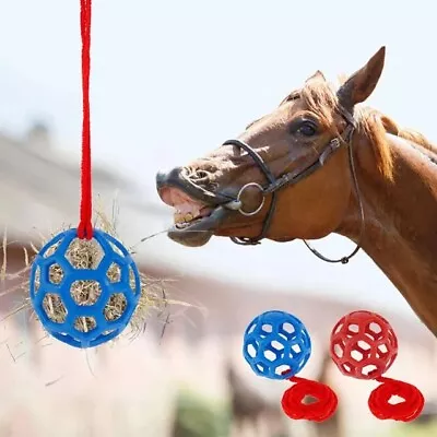 Horse Treat Ball Hay Feeder Toy Ball Hanging Perfect For Treats Carrots Etc • £8.99