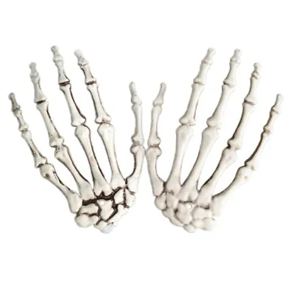 £6.46 • Buy Halloween Skeleton Hands Realistic Life Size Halloween Witch Skeleton Hand 2 Pcs