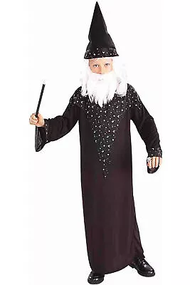 Rubies Forum Novelties Wizard Child Boys Costume Sorcerer F58267 Sz Large • $9.12