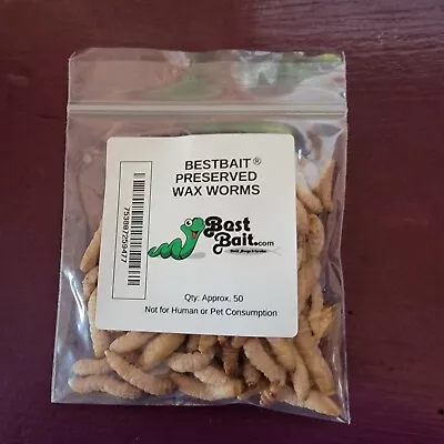 Bestbait Preserved Waxworms Grubs 50 Ct.+ Per Pack Natural Color Wax Worm  • $21.99