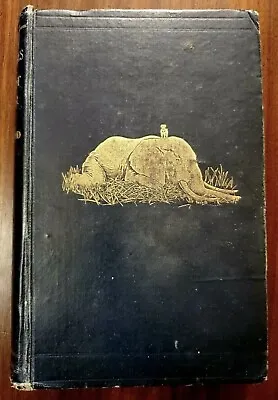 Adventures Elephant Hunter James Sutherland 1912 African Elephants Big Game Hunt • $500