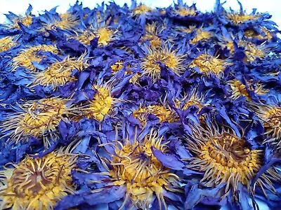 $2 • Buy BLUE LOTUS Nymphaea Caerulea Dried Flower 100%organic Natural Loto Azul Herbal