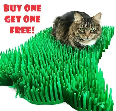 Cat Toy Tissue Paper Grass Mats Green Interactive Kitten Indoor Pet Toys • £6.99