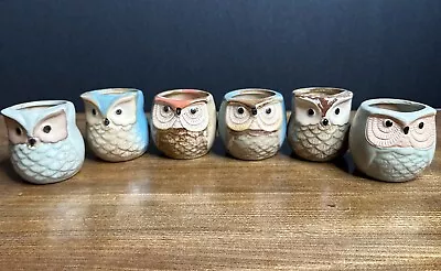 Mini Owl Terracotta Planter Pottery Succulent Multicolored Set Of 6 • $15