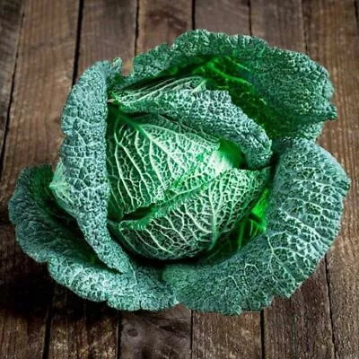 Cabbage Cordesa F1 - 30 Seeds (club Root Resistant) • £3.19