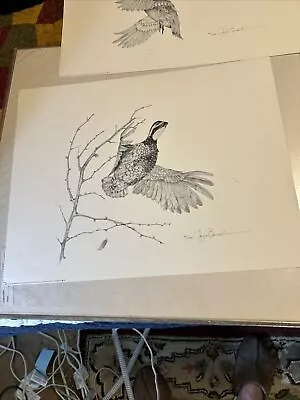 Ducks & Quail Prints Texas Artist H Gayle Bonsall Signed & Numbered (525) • $25