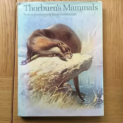 Thorburn's Mammals By David Attenborough • £1.50