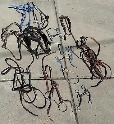 Lot Of Vintage Horse Tack Bits Bridle Harness Racing Headstall W/blinders • $10