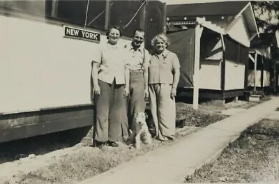 Vintage B&W Original Photo New York Couple & A Friend Welsh Terrier Dog 5  X 3  • $12.50