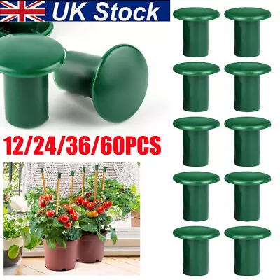 Cane Caps Plastic Toppers Garden Allotment Eye Skin Safety Protector Small Canes • £7.39
