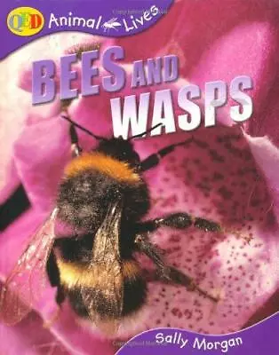 Animal Lives: Bees And Wasps (QED Animal Lives S.) Sally Morgan Good Condition • £3.57