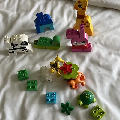 LEGO DUPLO: Baby Animals (10801) And Set 10573 Creative Animals Pre Owned • $9