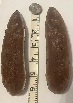 NICE Mazon Creek Fossil Fern Pair 6” Plant Leave Pennsylvanian Age- 309M Yrs Old • $7.99