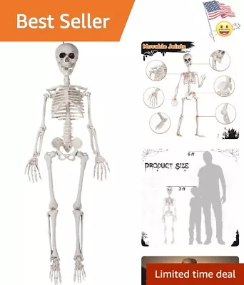 Giant Lifelike Skeleton Decorations - Posable - Ton Of Fun - 3FT Hanging • $36.97