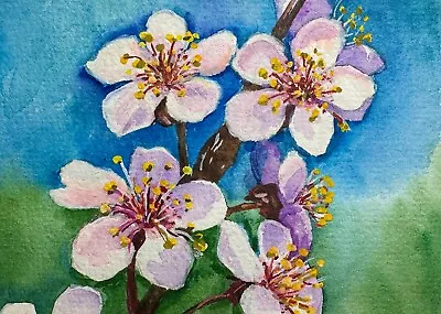 Watercolor Painting Cherry Blossom Flowering Tree Branch  ACEO Art No.304 • $29.50