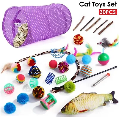 Cat Toys Kitten Toys Rod Fur Mice Bells Balls Catnip 30 Items Lovely Pet Toy • $25.99