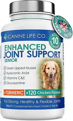 Hip & Joint Support - Senior Dogs | Turmeric & Green Lipped Mussel | 120 Tablets • £29.99
