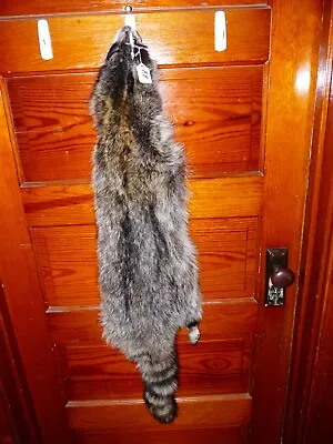 HUGE BEAUTIFUL Tanned RACCOON 4 FEET CLAWS FUR PELT TAXIDERMY R8 CABIN HAT DECOR • $58