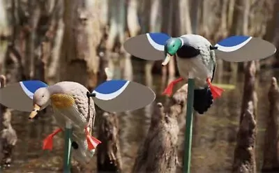 MOJO Outdoors Baby Hen & Baby Drake Motorized Decoys Spinning Magnetic Wings-New • $100