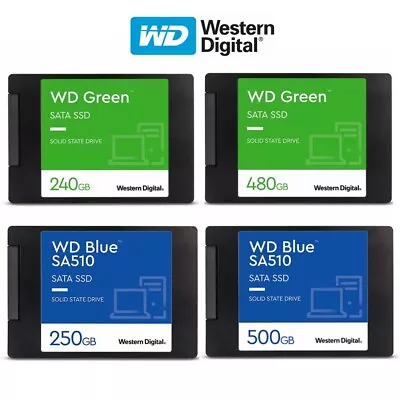 $139.95 • Buy SSD 120GB 240GB 250G 500G 1T WD Green Blue Internal Solid State Drive NVMe 2.5''