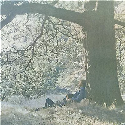 Yoko Ono : Yoko Ono/Plastic Ono Band CD (2016) ***NEW*** FREE Shipping Save £s • £9.28