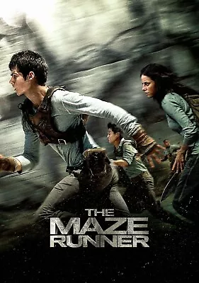 The Maze Runner (DVD 2014 Widescreen) ***DVD DISC ONLY*** NO CASE • $2.83