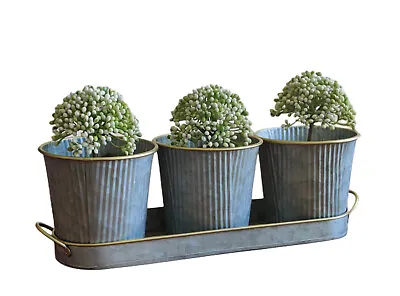 Set Of 3 Galvanized Windowsill Herb Planters Kitchen Garden Plant Pots With Tray • £11.99