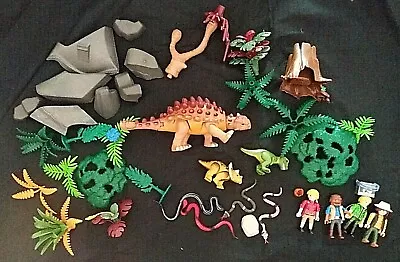 PLAYMOBIL Dinosaur Sets-Incomplete DinosaursPeople Volcano • $62.99