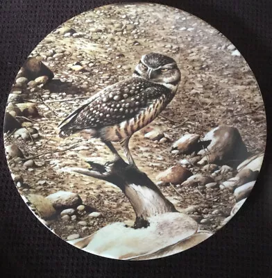 Wedgwood Bond's Owls The Burrowing Owl Terence James Bond Plate With Cert • £5