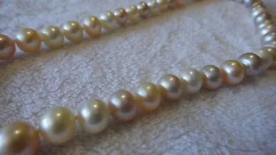 Estate 1940s  White Black Pink Sea Pearl Necklace 9-11mm 14k Gold Ball Clasp 60g • $1500