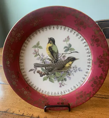 Vintage Porcelaine De Versailles 10  Plate Hand Painted Birds Red/gold • $7.25