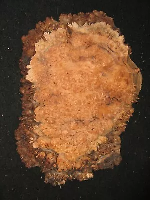 Lace Maple Burl Natural Slab Lumber Table Clock Craft Art Piece 17  • $40