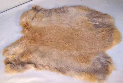 10 NATURAL BROWN GENUINE RABBIT SKIN  Hide Fur Pelt WHOLESALE Bunny BULK LOT • $71.80
