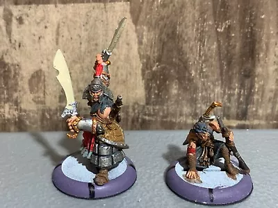 A9263 Warmachine Menoth Idrian Skirmishers Chieftan & Guide Metal Painted • $20