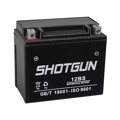 Shotgun Replaces 12V 12-BS High Performance Maintenance Free Motorcycle Battery • $35.88