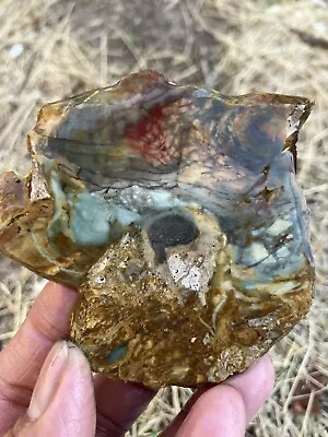 Morrisonite Jasper Slab (Oregon) • $25