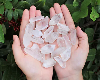 Clear Quartz Crystal Points 1/2 Lb Bulk Lot Natural Mineral Wand Specimen (8 Oz) • $12.45