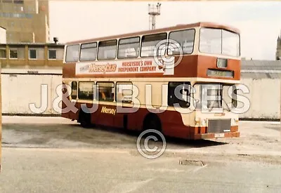 Bus Photograph: Merseyside PTE F239 YTJ / 239  (see Back  For More) BX163 • £1.25