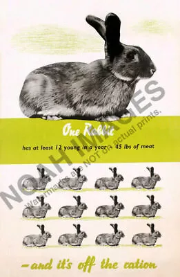 Rabbits Vintage WW2 British Food Ration Propaganda Poster 12x18 • $7.95