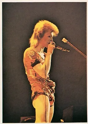 David Bowie Panini Picture Pop 1974 (Postcard Size Sticker) No88 • £9.95