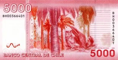 Chile - 5000 Chilean Pesos Polymer - P-161 - 2009 Dated Foreign Paper Money - Pa • $35