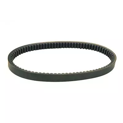 203784 Torque Converter Belt 7/8  X 32.90  Fits Manco 6814 & 40-80 Fits Comet • $24.75