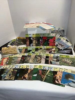 Vintage 1975 Editions Rencontre Animal Cards Lot Of 173 • $19.99