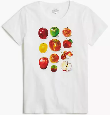 J.CREW Collector Apples Art Tee Shirt Sz S Wmns Classic Fit NWT $45 • $24