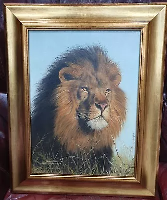 Original Oil Painting By Artist: David Stribbling Lion • £385